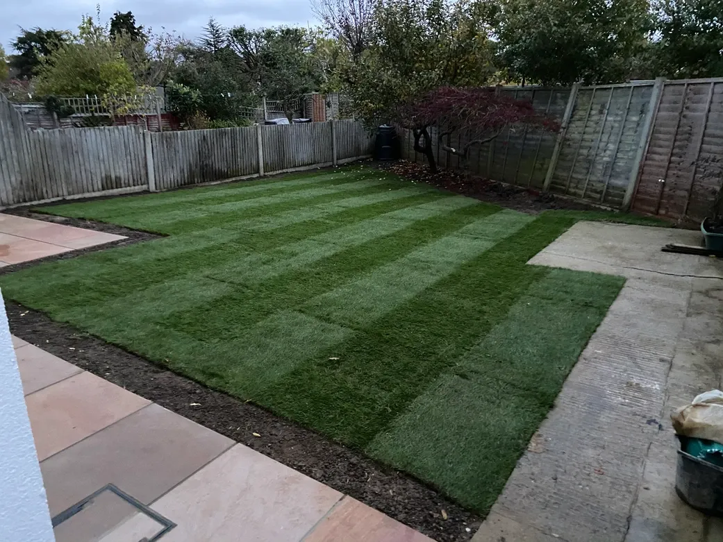 A backyard with a lawn and a fence.